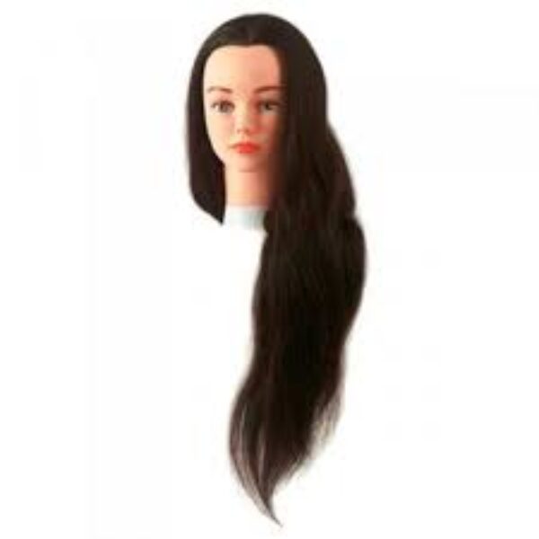 Jenny 0040501